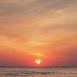 Meet your Posher, Barb